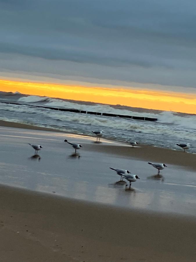 Domki Alex Przy Plazy Dziwnówek Exteriér fotografie